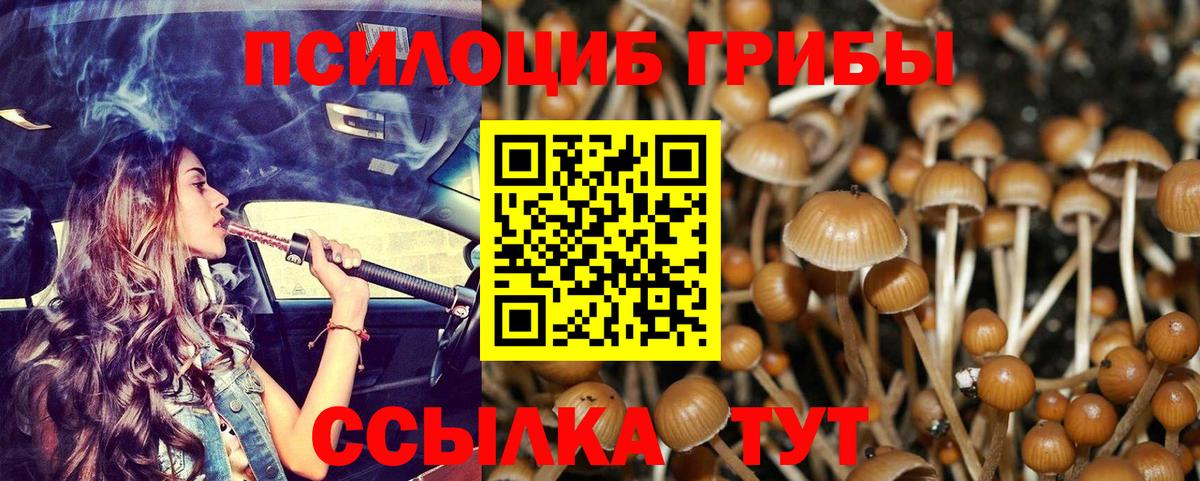 Галлюциногенные грибы ЛСД Миллерово